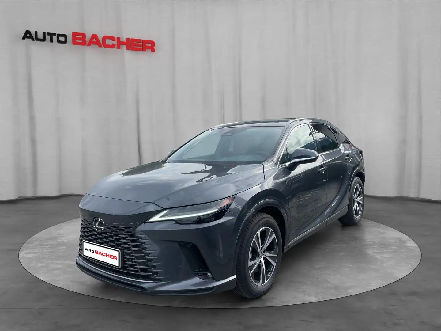 Lexus RX 450h Business Line Plug-In Hybrid 309 PS Allrad Gris - 1