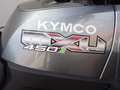 Kymco Maxxer 450i 4x4 LoF  INKL. HECKKOFFER Silber - thumbnail 9