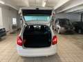 Skoda Fabia 1.6 TDI Fresh Klimaautomatik Blanc - thumbnail 13