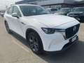 Mazda CX-60 CX-60 3.3 m-hybrid boost Exclusive Line - GT976SS Weiß - thumbnail 7