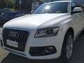 Audi Q5 Q5 3.0 V6 tdi Advanced Plus quattro s-tronic Blanc - thumbnail 3