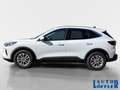 Ford Kuga Titanium 1.5 PDC´ RFK360´ NAVI´ KLIMA´ SHZ´ K Weiß - thumbnail 2