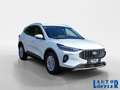 Ford Kuga Titanium 1.5 PDC´ RFK360´ NAVI´ KLIMA´ SHZ´ K Weiß - thumbnail 7