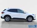 Ford Kuga Titanium 1.5 PDC´ RFK360´ NAVI´ KLIMA´ SHZ´ K Weiß - thumbnail 6