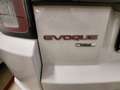 Land Rover Range Rover Evoque R.R. Evoque Cabrio I 2016HSE Dynamic 180cv auto Blanc - thumbnail 11