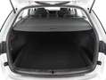 Skoda Octavia Combi 2.0 TDI DSG MATRIX+AHK+RADAR+RFK Silber - thumbnail 23