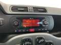 Fiat Panda III 2016 1.2 Lounge s&s 69cv my19 Blu/Azzurro - thumbnail 13