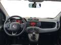 Fiat Panda III 2016 1.2 Lounge s&s 69cv my19 Blu/Azzurro - thumbnail 10