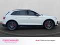 Audi Q5 55 TFSIe quattro S Line Business AHK schwenk Stadt Weiß - thumbnail 6