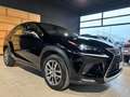 Lexus NX 300h 155CV  Executive 4wd Nero - thumbnail 5