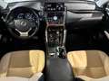 Lexus NX 300h 155CV  Executive 4wd Nero - thumbnail 15