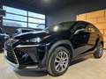 Lexus NX 300h 155CV  Executive 4wd Schwarz - thumbnail 1