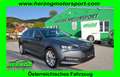 Skoda Superb Superb Kombi 2,0 TDI DSG LED VIRTUAL NAVI 1.Besitz Grau - thumbnail 1
