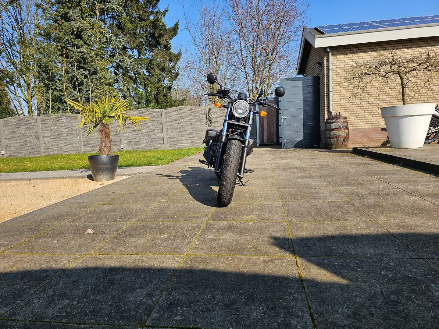 Honda CMX 500 Bronz - 2