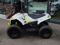 CFMOTO CFORCE EV110 - thumbnail 4