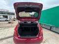 Ford Fiesta 1.6TDCi Titanium Burdeos - thumbnail 7