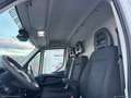 Iveco Daily 35S14V 2.3 HPT PLM-TA Furg. Blanc - thumbnail 17