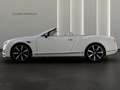 Bentley Continental GT V8 Convertible Blanco - thumbnail 8