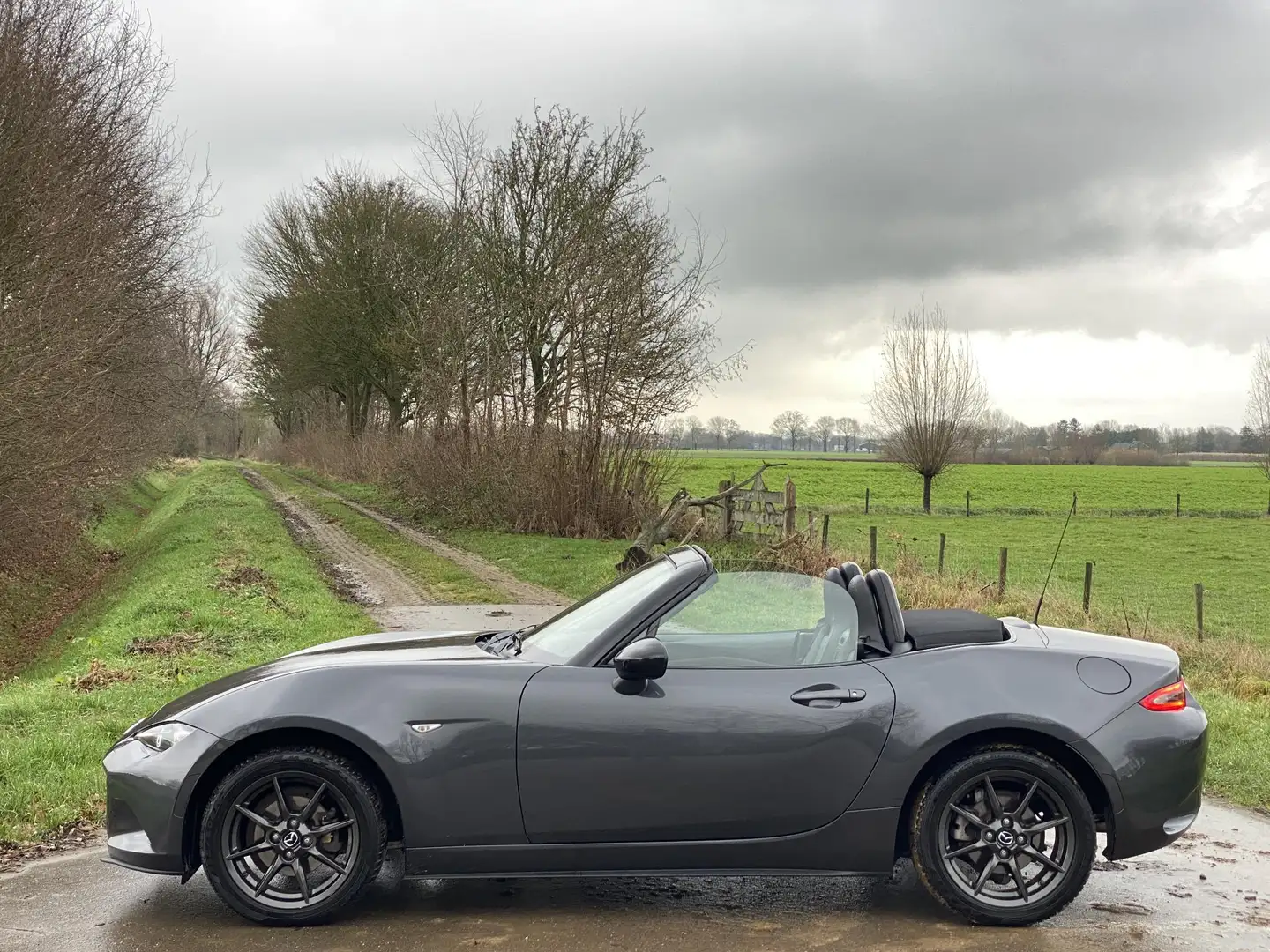Mazda MX-5 ND 1.5 SkyActiv-G 131 TS+ Gris - 2