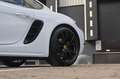 Porsche 718 Cayman 2.0 300PK PDK Cayman | BTW Auto | Winterset | Bose Weiß - thumbnail 13
