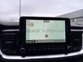 Kia Stonic Stonic 1.2 mpi Style 79cv Albastru - thumbnail 24