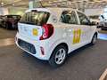 Kia Picanto 1,0 MPI Titan *Werksgarantie* Weiß - thumbnail 5
