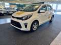 Kia Picanto 1,0 MPI Titan *Werksgarantie* Weiß - thumbnail 1