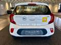 Kia Picanto 1,0 MPI Titan *Werksgarantie* Weiß - thumbnail 6