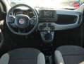 Fiat Panda 1.0 70ch BSG S/S - thumbnail 17