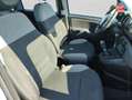 Fiat Panda 1.0 70ch BSG S/S - thumbnail 5