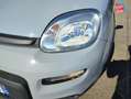 Fiat Panda 1.0 70ch BSG S/S - thumbnail 13