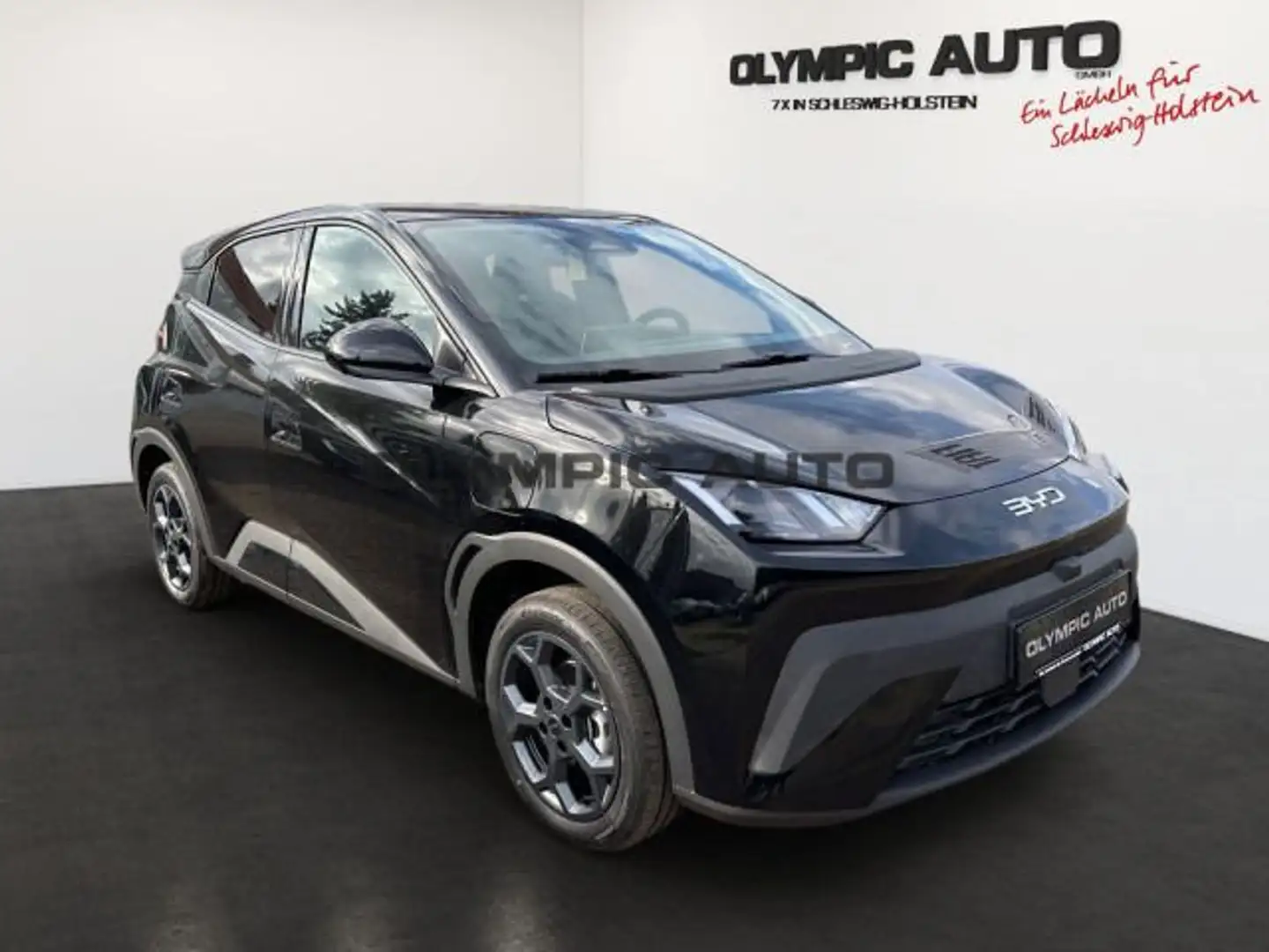 BYD Dolphin Dolphin Surf Comfort 43kWh 360°KAMERA LED SITZHZ Schwarz - 2