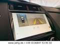 Jaguar E-Pace E-PACE LED Nav+ 18" Panorama Spur 360Grad Rosso - thumbnail 14