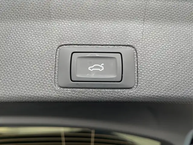 Cupra Terramar view 14