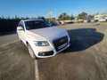 Audi Q5 3.0TDI CD quattro S-Tronic 258 Blanco - thumbnail 1