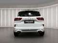 Ford Kuga ST-Line X|AUT|360GRAD|ACC|LED|NAVI Weiß - thumbnail 4