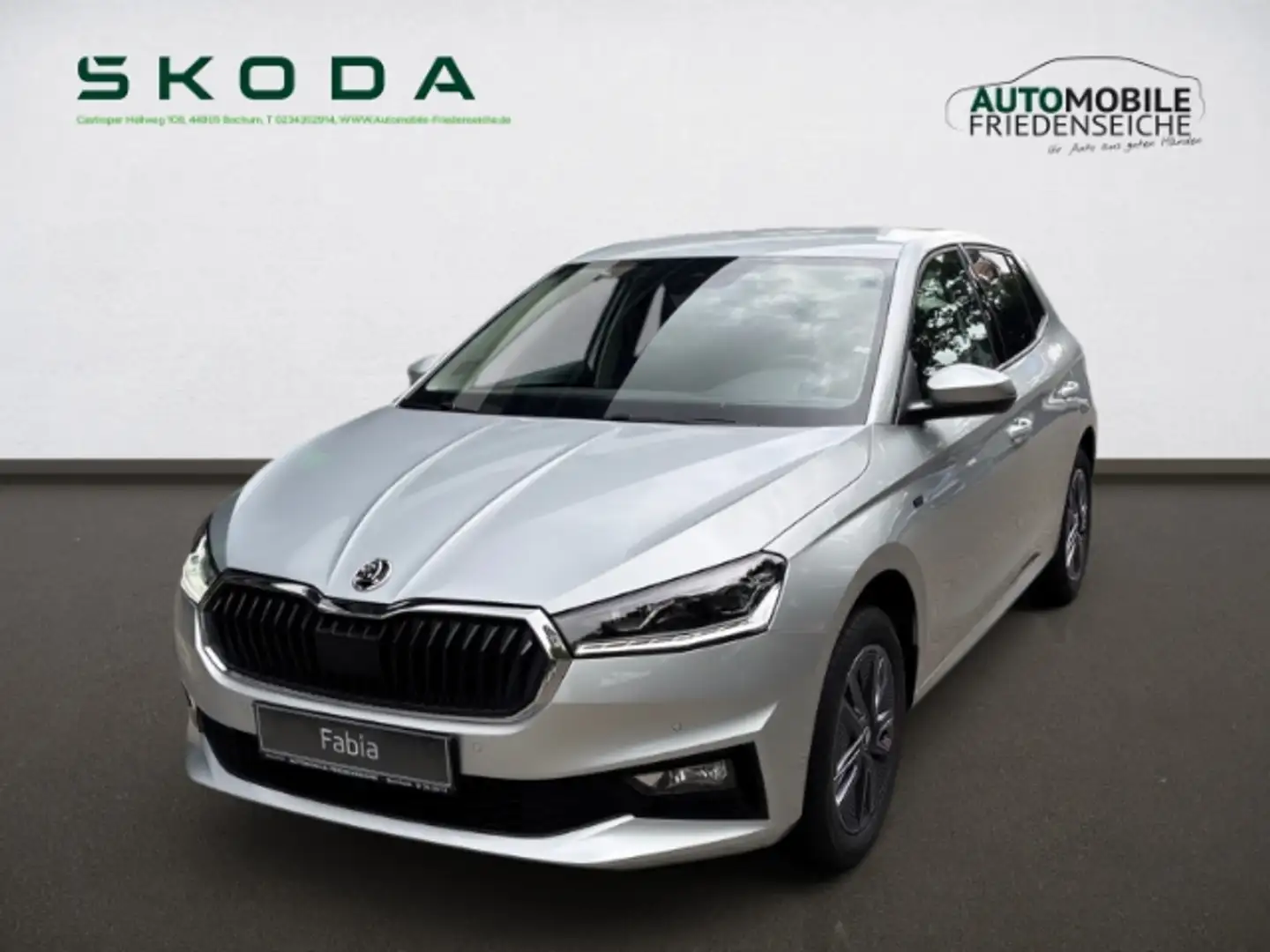 Skoda Fabia Tour 1.0 TSI 70 KW PDC Kamera Sitzh. Argento - 1