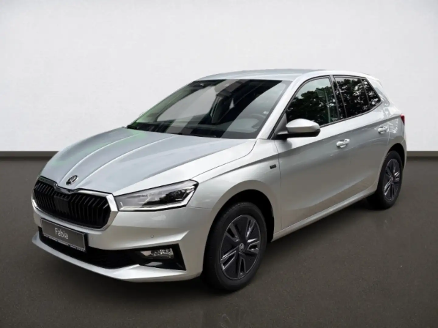 Skoda Fabia Tour 1.0 TSI 70 KW PDC Kamera Sitzh. Argento - 2