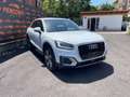 Audi Q2 30TDI S-TRONIC ADVANCED LED NAVI CAMERA BI-ZONA Bianco - thumbnail 3