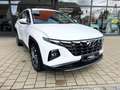Hyundai TUCSON 1,6 T-GDI Trend Mild-Hybrid 2WD*Allwetter Weiß - thumbnail 2