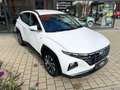 Hyundai TUCSON 1,6 T-GDI Trend Mild-Hybrid 2WD*Allwetter Weiß - thumbnail 11
