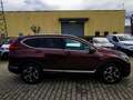 Honda CR-V 2.0 hev Executive Navi awd ecvt Rosso - thumbnail 6