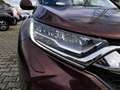 Honda CR-V 2.0 hev Executive Navi awd ecvt Rosso - thumbnail 14