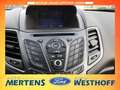 Ford Kuga ST-Line Allrad Panorama Navi Soundsystem Bi-Xenon Wit - thumbnail 29