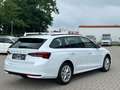 Skoda Octavia Combi 1.5 TSI °Leder°RFK°ACC°VC°HUP° Wit - thumbnail 3