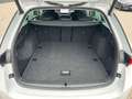 Skoda Octavia Combi 1.5 TSI °Leder°RFK°ACC°VC°HUP° Wit - thumbnail 20