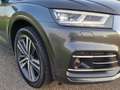 Audi Q5 2.0 TFSI quattro Sport S Line Black Edition /Pano/ Gris - thumbnail 26