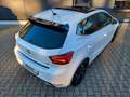 SEAT Ibiza -FR- (Black Edition) 1.0 TSI DSG *Panor.* Blanc - thumbnail 5