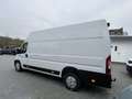 Opel Movano 180 L4H3 Maxi Automatik Extra Hoch+Lang White - thumbnail 6