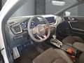 Kia XCeed GT Line 7-AT Leder-Paket JBL Soundsystem Navi Kame Blanc - thumbnail 7